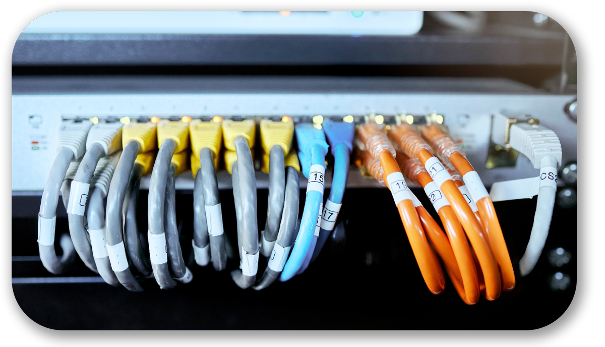 Network Switch
